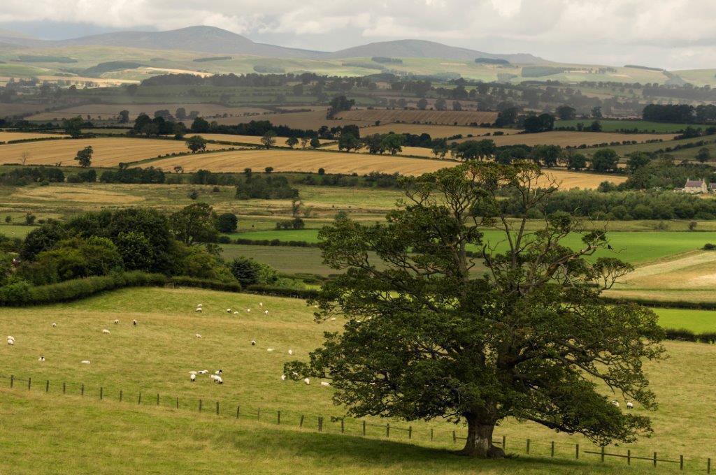Bed and Breakfast Country Getaway - Tosson Tower Farm Rothbury Exterior foto